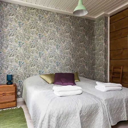 Guest house Pikisaari 2*